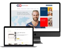 Vimi Thailand E-Commerce development
