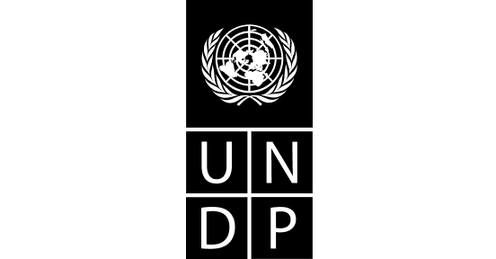 logo_undp